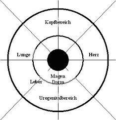 Iris-Topographie